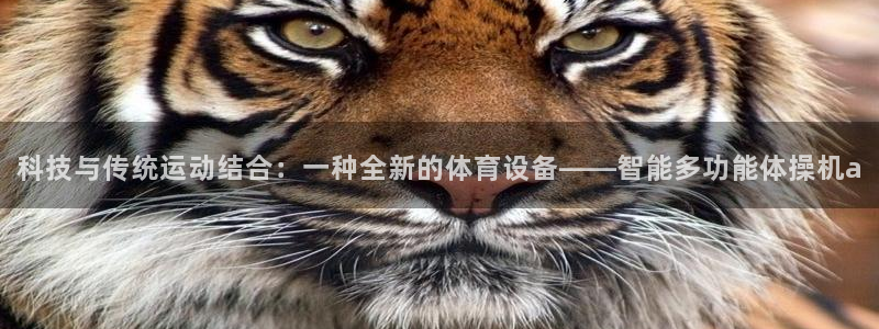 意昂体育5(KGAME)平台注册要钱吗：科技与传统运动结合：