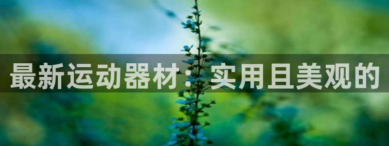 意昂5(KGAME)集团简介：最新运动器材：实用且美观的