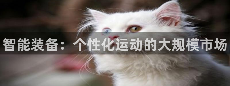 意昂5(KGAME)集团logo：智能装备：个性化运动的大规