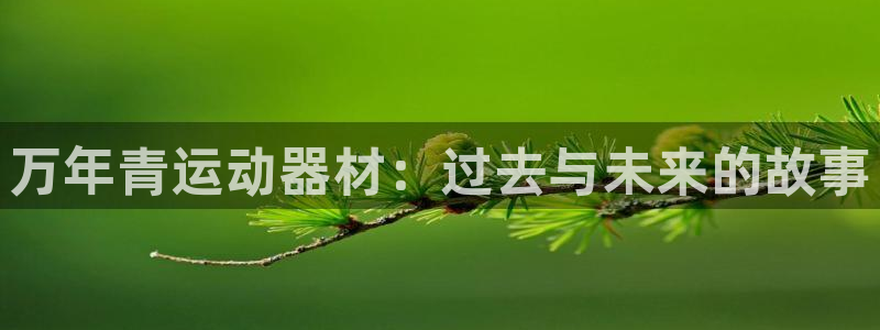 意昂5(KGAME)集团E.ON：万年青运动器材：过去与未来