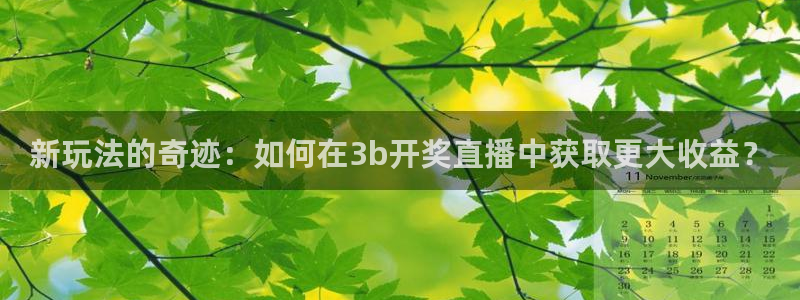 360体育直播无插件高清24：新玩法的奇迹：如何在3b开奖直播中获取更大收益？