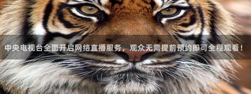 360绿色直播体育直播nba直播：中央电视台全面开启网络直播服务，观众无需提前预约即可全程观看！