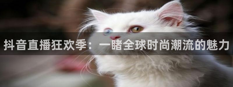 足球直播360直播：抖音直播狂欢季：一睹全球时尚潮流的魅力