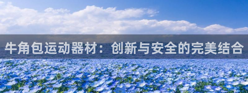 意昂5(KGAME)娱乐网站：牛角包运动器材：创新与安全的完