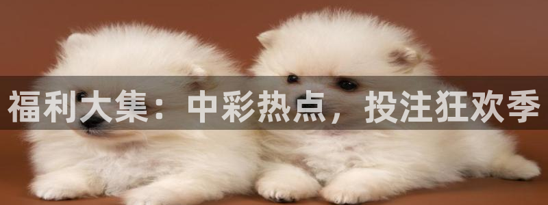 360足球直播视频直播：福利大集：中彩热点，投注狂欢季