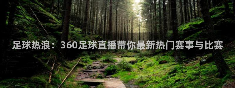 360足球直播赛事雨燕：足球热浪：360足球直播带你最新热门赛事与比赛