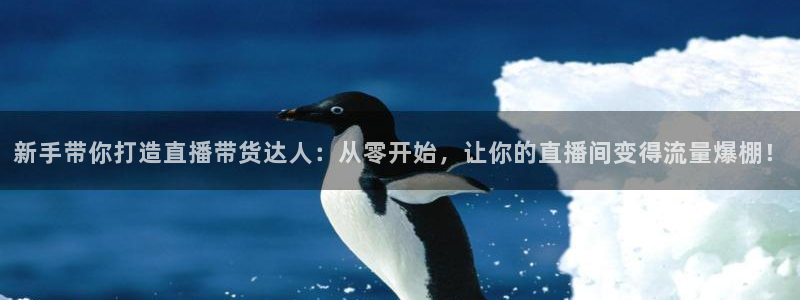 雨燕360直播nba免费观看：新手带你打造直播带货达人：从零开始，让你的直播间变得流量爆棚！