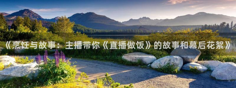 360无插件免费直播nba：《烹饪与故事：主播带你《直播做饭》的故事和幕后花絮》