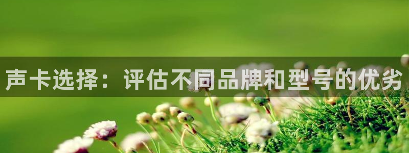 雨燕360体育免费观看赛事：声卡选择：评估不同品牌和型号的优劣