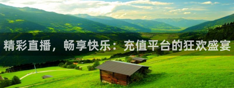 雨燕直播360高清直播足球：精彩直播，畅享快乐：充值平台的狂欢盛宴