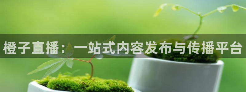 360直播雨燕直播篮球：橙子直播：一站式内容发布与传播平台